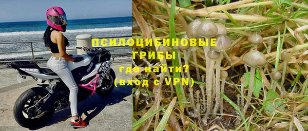 ALPHA PVP Верея