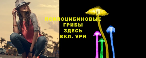 ALPHA PVP Верея