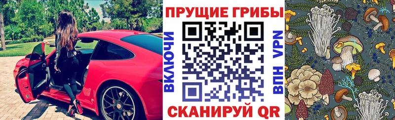 Псилоцибиновые грибы Psilocybe  Кинешма 
