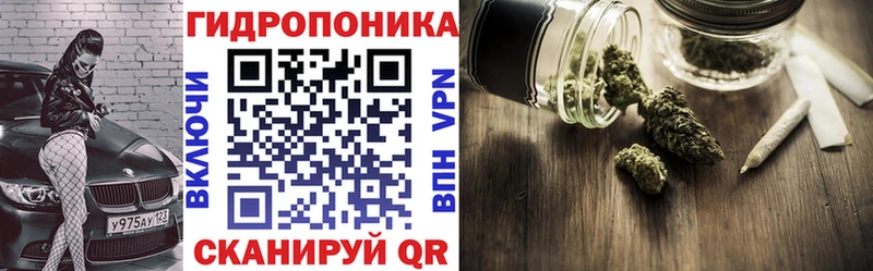 Конопля индика  Кинешма 